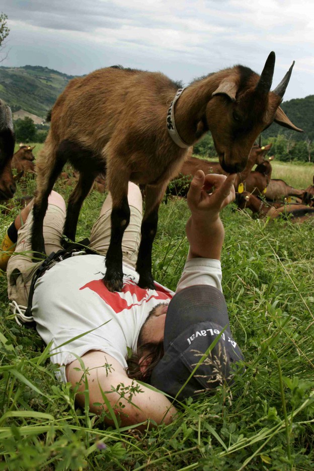 SOS dalla fattoria I Piani